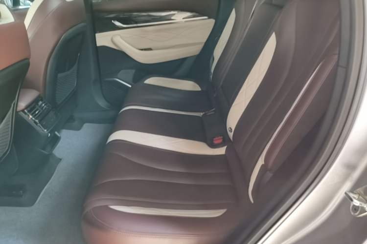 Used Geely Auto Monjaro L 2021 2.0TD DCT EVO Two-Wheel-Drive Flagship Version Left Rear Seat