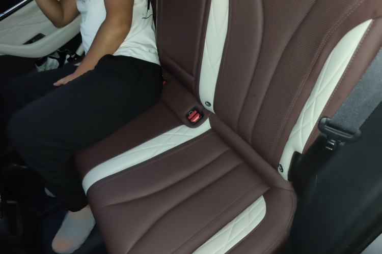 Used Geely Auto Monjaro L 2021 2.0TD DCT EVO Two-Wheel Drive Smart Luxury Version Left Rear Seat