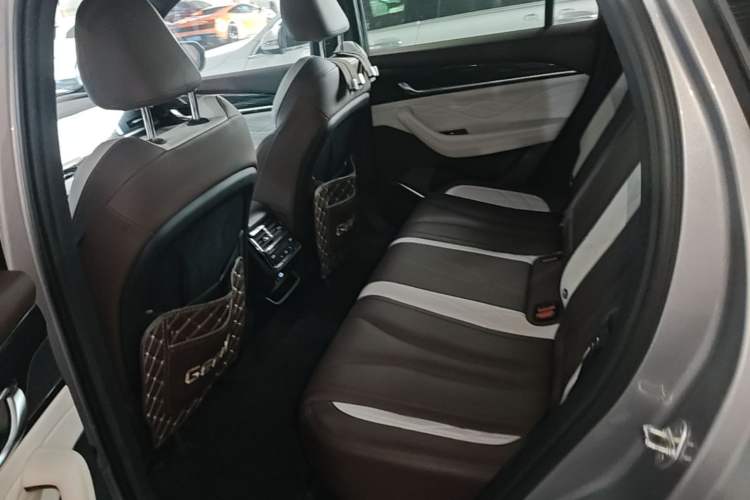 Used Geely Auto Monjaro L 2021 2.0TD DCT EVO Two-Wheel Drive Smart Luxury Version Left Rear Seat