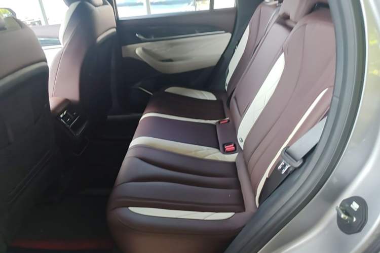 Used Geely Auto Monjaro L 2021 2.0TD DCT EVO Two-Wheel Drive Prestige Version Left Rear Seat