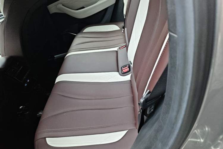 Used Geely Auto Monjaro L 2021 2.0TD DCT EVO Two-Wheel Drive Prestige Version Left Rear Seat
