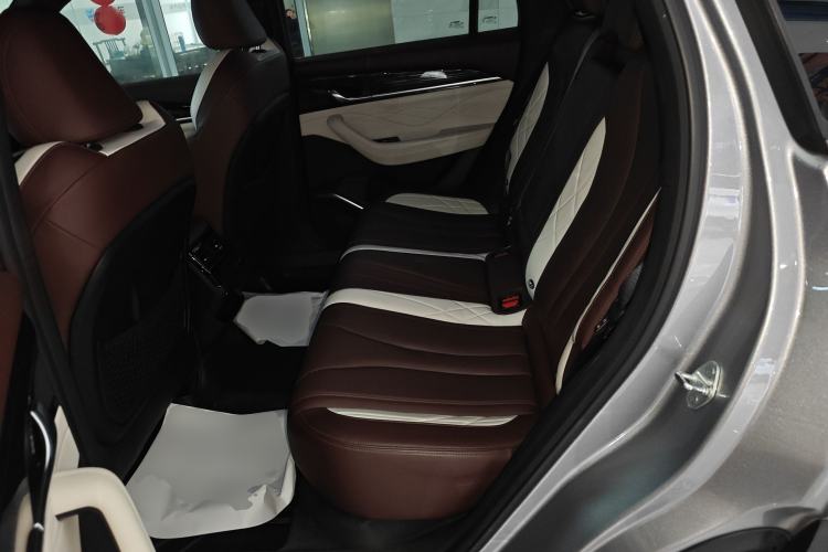 Used Geely Auto Monjaro L 2021 2.0TD DCT EVO Two-Wheel Drive Prestige Version Left Rear Seat