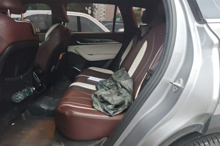 Used Geely Auto Monjaro L 2021 2.0TD High-Power Automatic All-Wheel Drive Luxury Version Left Rear Seat
