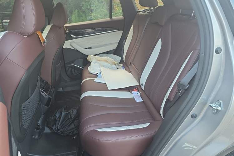 Used Geely Auto Monjaro L 2021 2.0TD DCT EVO Two-Wheel Drive Prestige Version Left Rear Seat