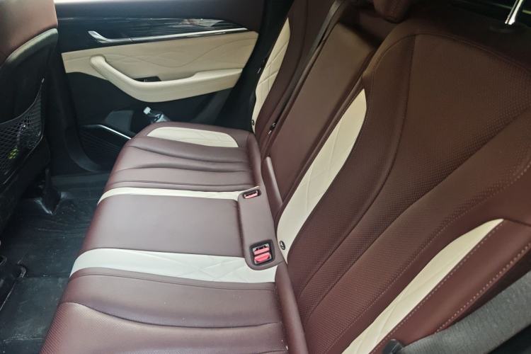 Used Geely Auto Monjaro L 2021 2.0TD DCT EVO Two-Wheel Drive Smart Luxury Version Left Rear Seat
