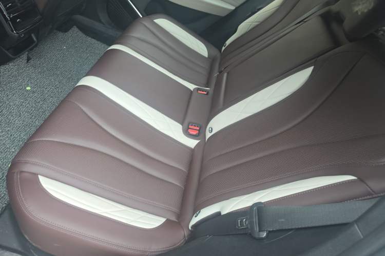 Used Geely Auto Monjaro L 2021 2.0TD DCT EVO Two-Wheel Drive Prestige Version Left Rear Seat