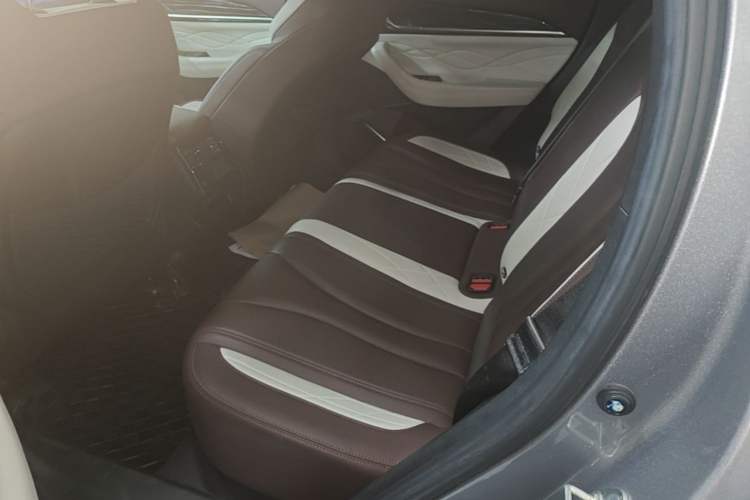 Used Geely Auto Monjaro L 2021 2.0TD DCT EVO Two-Wheel Drive Smart Luxury Version Left Rear Seat