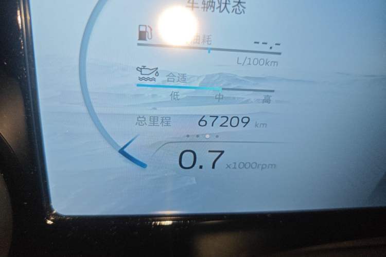 Used Geely Auto Monjaro L 2021 2.0TD DCT EVO Two-Wheel Drive Prestige Version Odometer Close Up
