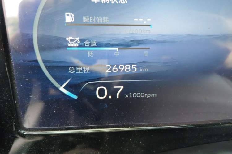 Used Geely Auto Monjaro L 2021 2.0TD DCT EVO Two-Wheel-Drive Flagship Version Odometer Close Up