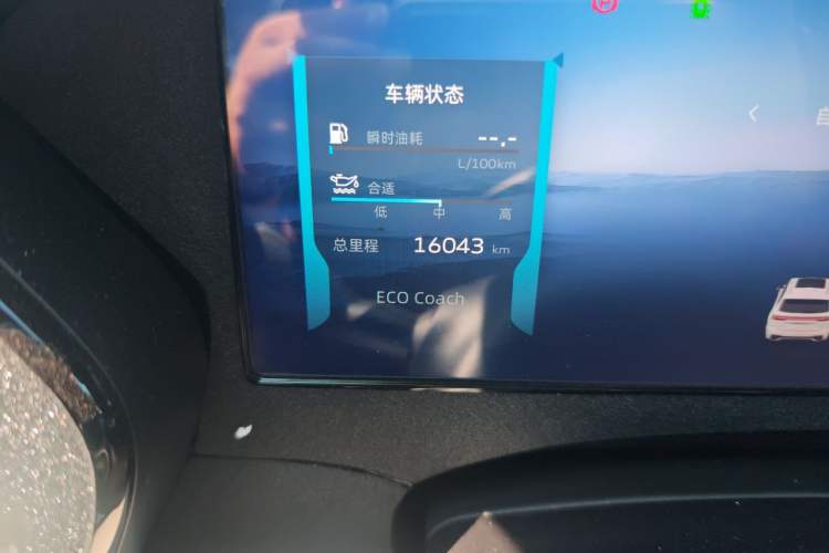 Used Geely Auto Monjaro L 2021 2.0TD High-Power Automatic All-Wheel-Drive Flagship Version Odometer Close Up