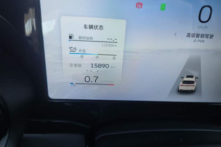 Used Geely Auto Monjaro L 2021 2.0TD DCT EVO Two-Wheel Drive Prestige Version Odometer Close Up