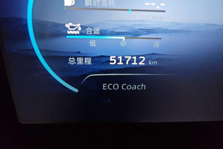 Used Geely Auto Monjaro L 2021 2.0TD DCT EVO Two-Wheel-Drive Flagship Version Odometer Close Up