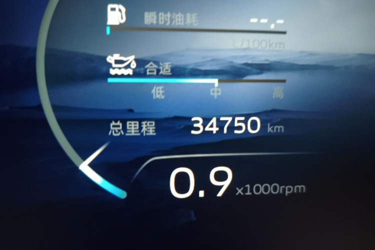 Used Geely Auto Monjaro L 2021 2.0TD DCT EVO Two-Wheel Drive Prestige Version Odometer Close Up