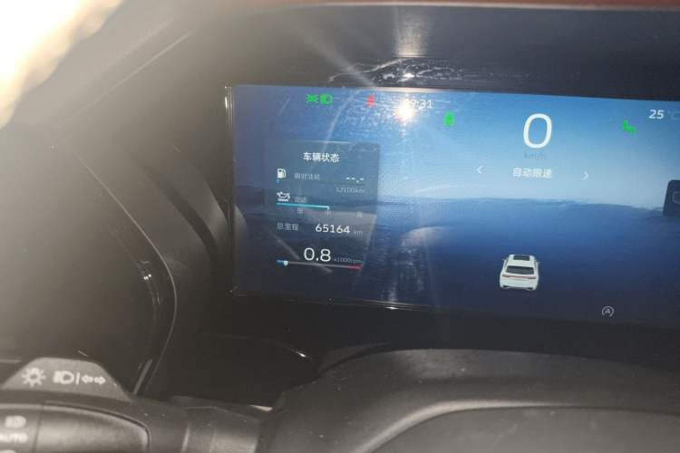 Used Geely Auto Monjaro L 2021 2.0TD High-Power Automatic All-Wheel-Drive Flagship Version Odometer Close Up
