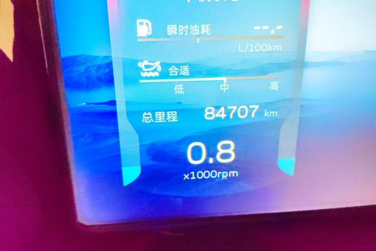 Used Geely Auto Monjaro L 2021 2.0TD DCT EVO Two-Wheel Drive Prestige Version Odometer Close Up