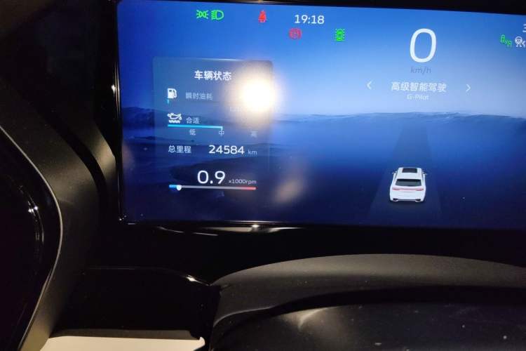 Used Geely Auto Monjaro L 2021 2.0TD DCT EVO Two-Wheel Drive Smart Luxury Version Odometer Close Up