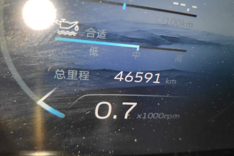 Used Geely Auto Monjaro L 2021 2.0TD High-Power Automatic All-Wheel-Drive Flagship Version Odometer Close Up