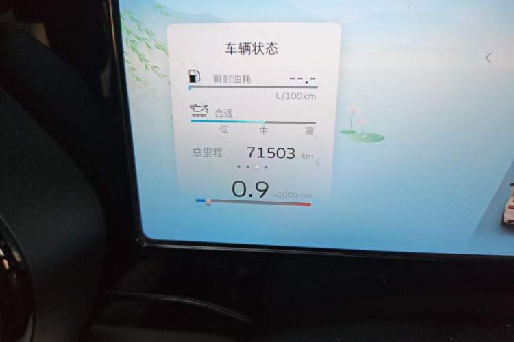 Used Geely Auto Monjaro L 2021 2.0TD DCT EVO Two-Wheel Drive Smart Luxury Version Odometer Close Up