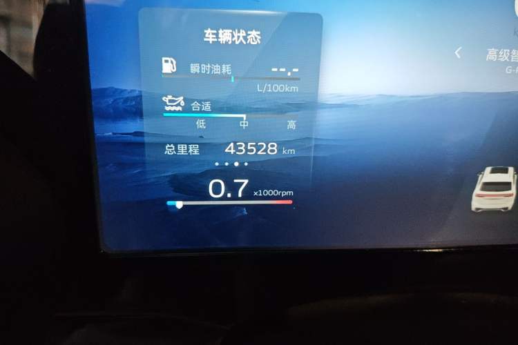Used Geely Auto Monjaro L 2021 2.0TD High-Power Automatic All-Wheel Drive Luxury Version Odometer Close Up