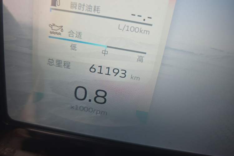 Used Geely Auto Monjaro L 2021 2.0TD DCT EVO Two-Wheel Drive Prestige Version Odometer Close Up