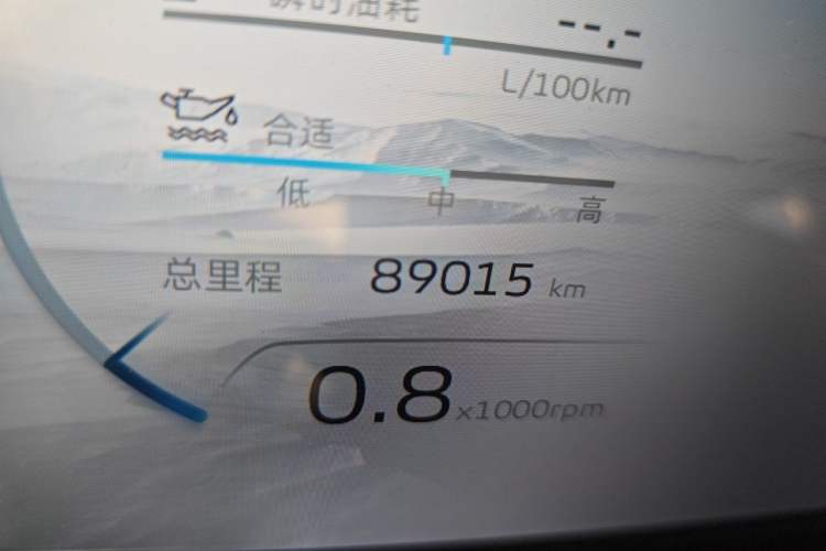Used Geely Auto Monjaro L 2021 2.0TD DCT EVO Two-Wheel Drive Prestige Version Odometer Close Up