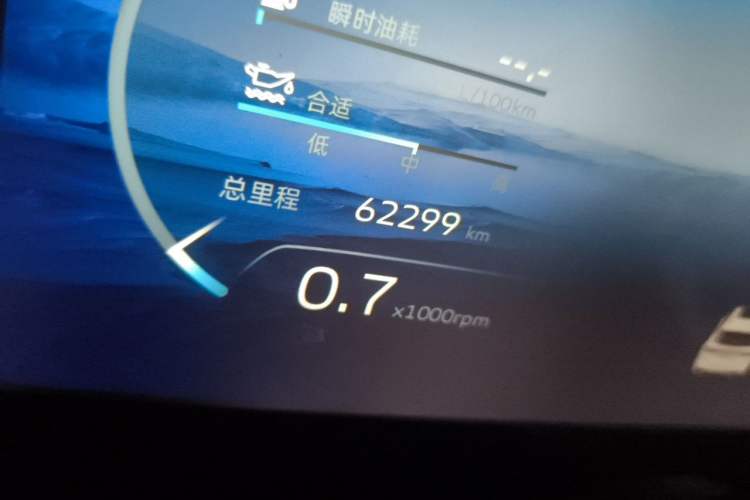 Used Geely Auto Monjaro L 2021 2.0TD DCT EVO Two-Wheel Drive Prestige Version Odometer Close Up