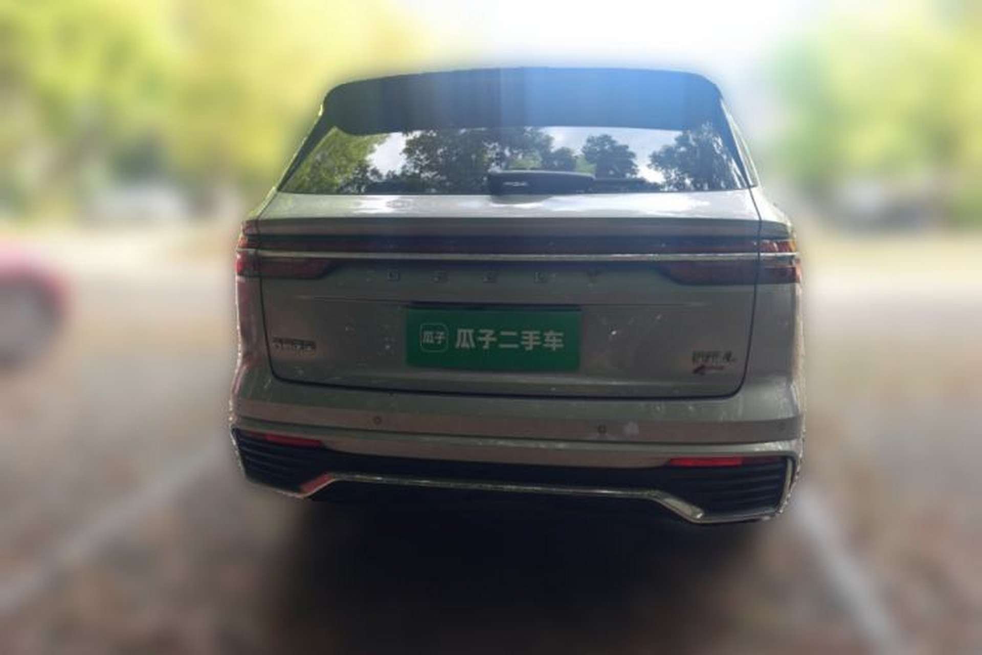 Used Geely Auto Monjaro L 2021 2.0TD High-Power Automatic All-Wheel Drive Luxury Version Rear