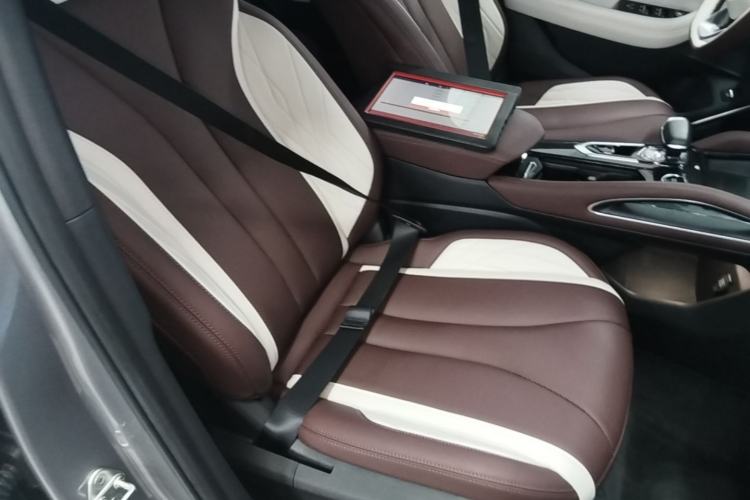 Used Geely Auto Monjaro L 2021 2.0TD DCT EVO Two-Wheel Drive Prestige Version Right Front Seat