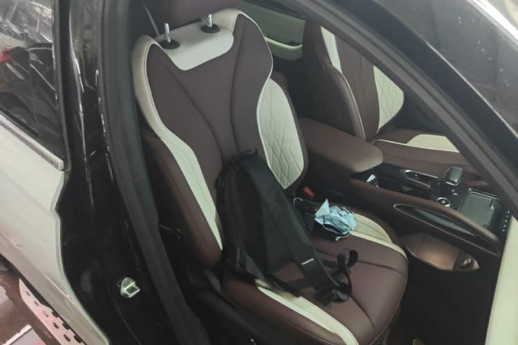Used Geely Auto Monjaro L 2021 2.0TD DCT EVO Two-Wheel Drive Smart Luxury Version Right Front Seat