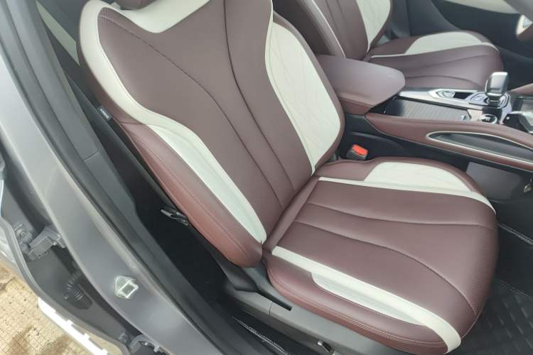 Used Geely Auto Monjaro L 2021 2.0TD DCT EVO Two-Wheel Drive Smart Luxury Version Right Front Seat