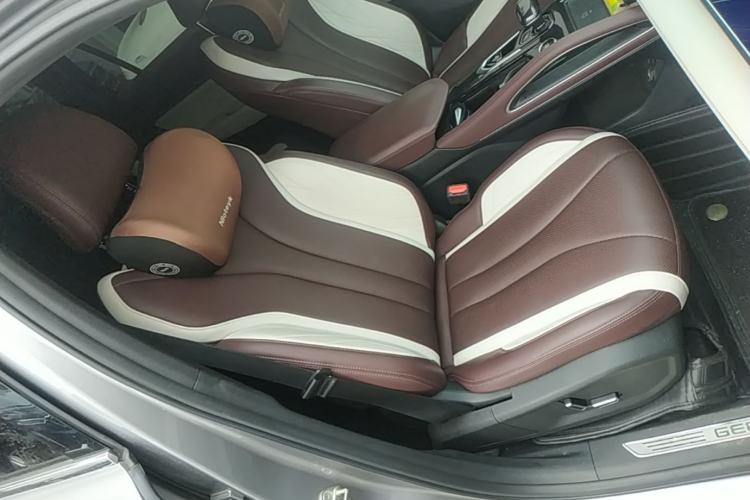 Used Geely Auto Monjaro L 2021 2.0TD DCT EVO Two-Wheel Drive Smart Luxury Version Right Front Seat