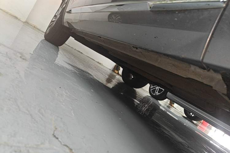 Used Geely Auto Monjaro L 2021 2.0TD DCT EVO Two-Wheel Drive Smart Luxury Version Right Side Sill