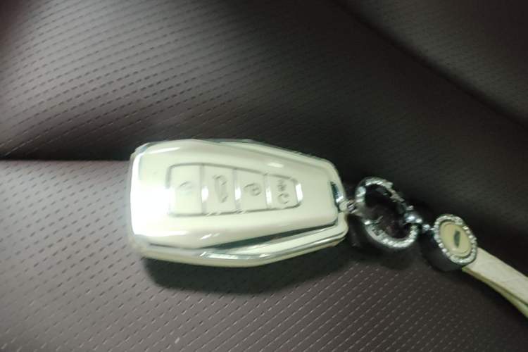 Used Geely Auto Monjaro L 2021 2.0TD DCT EVO Two-Wheel Drive Prestige Version Vehicle Key