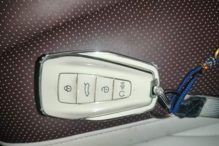 Used Geely Auto Monjaro L 2021 2.0TD DCT EVO Two-Wheel Drive Prestige Version Vehicle Key