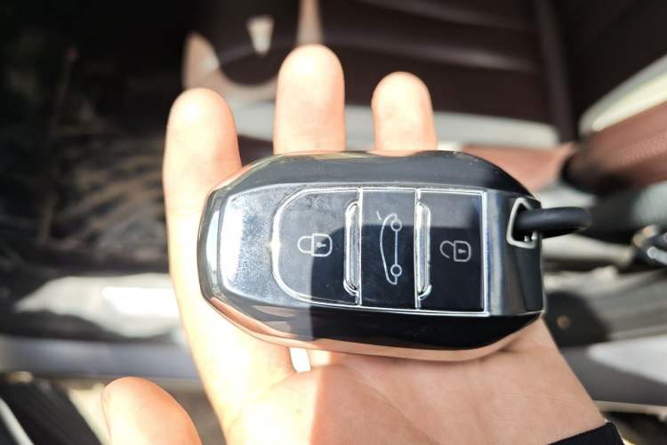 Used Geely Auto Monjaro L 2021 2.0TD DCT EVO Two-Wheel Drive Prestige Version Vehicle Key