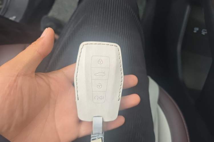 Used Geely Auto Monjaro L 2021 2.0TD DCT EVO Two-Wheel Drive Prestige Version Vehicle Key