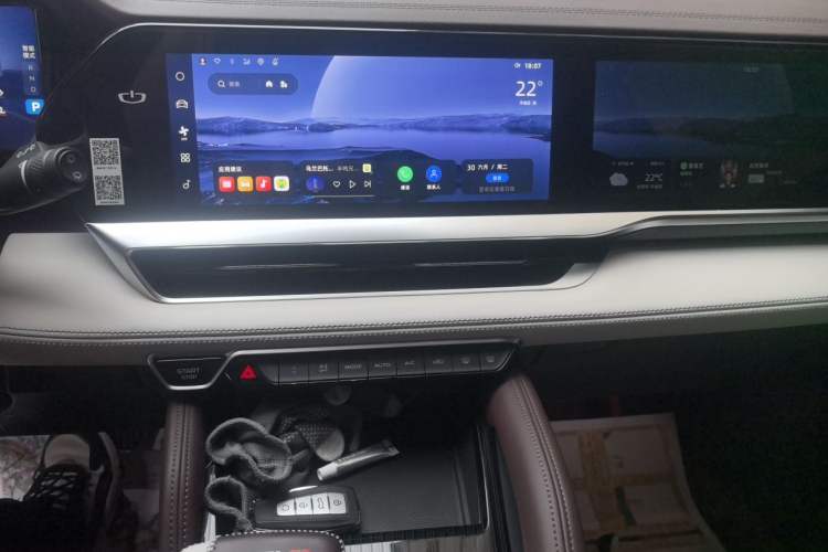 Used Geely Auto Monjaro L 2021 2.0TD DCT EVO Two-Wheel Drive Prestige Version Audio And AC Panel