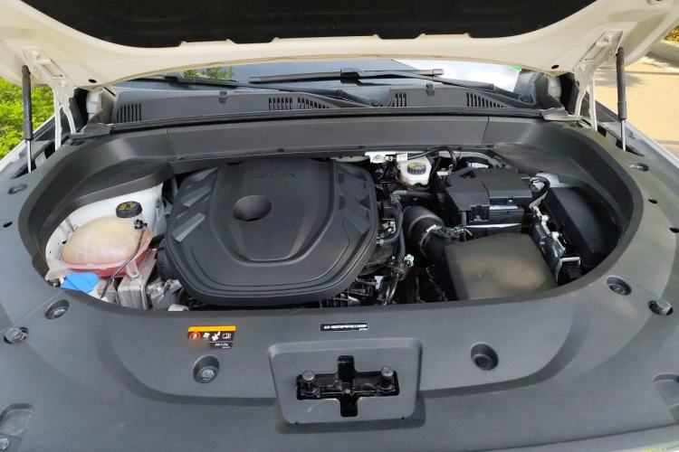 Used Geely Auto Monjaro L 2021 2.0TD High-Power Automatic All-Wheel Drive Luxury Version Engine Bay
