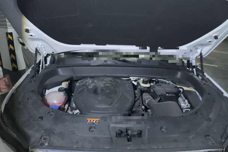 Used Geely Auto Monjaro L 2021 2.0TD DCT EVO Two-Wheel Drive Smart Luxury Version Engine Bay
