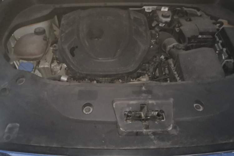 Used Geely Auto Monjaro L 2021 2.0TD High-Power Automatic All-Wheel-Drive Flagship Version Engine Bay