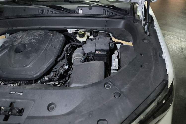 Used Geely Auto Monjaro L 2021 2.0TD DCT EVO Two-Wheel Drive Smart Luxury Version Engine Bay Left