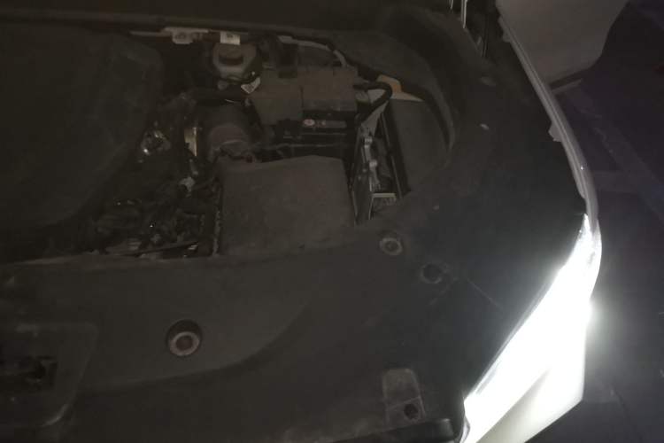 Used Geely Auto Monjaro L 2021 2.0TD High-Power Automatic All-Wheel-Drive Flagship Version Engine Bay Left