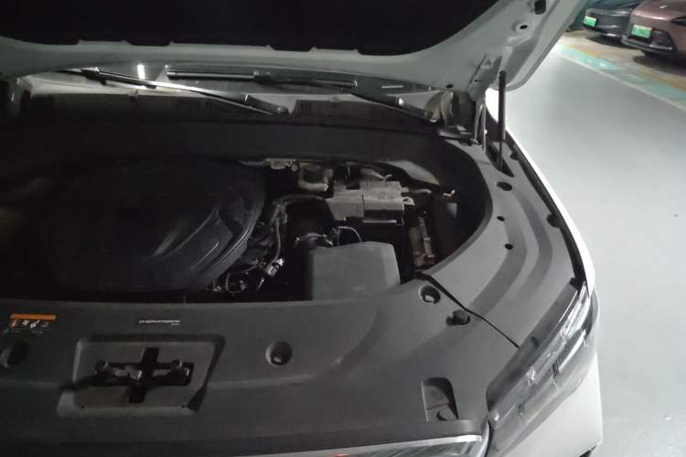 Used Geely Auto Monjaro L 2021 2.0TD DCT EVO Two-Wheel Drive Smart Luxury Version Engine Bay Left