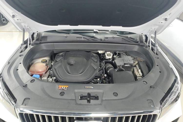 Used Geely Auto Monjaro L 2021 2.0TD DCT EVO Two-Wheel Drive Prestige Version Engine Bay