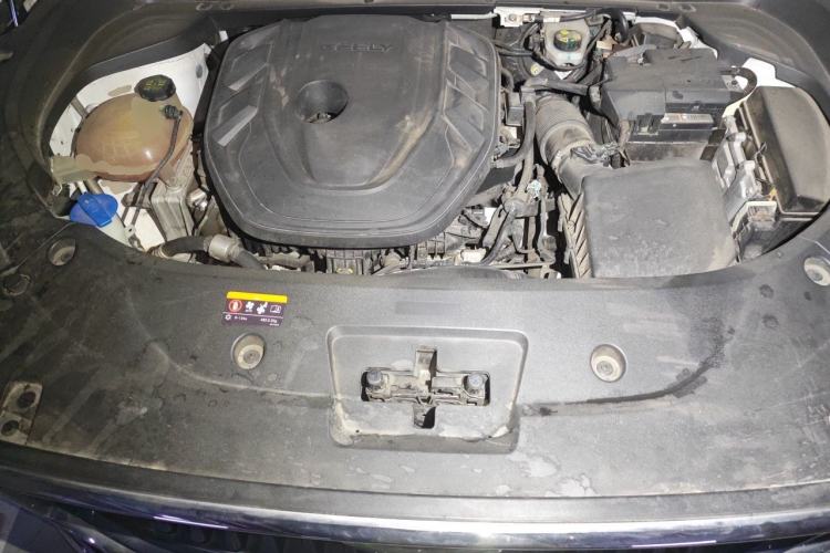 Used Geely Auto Monjaro L 2021 2.0TD High-Power Automatic All-Wheel-Drive Flagship Version Engine Bay