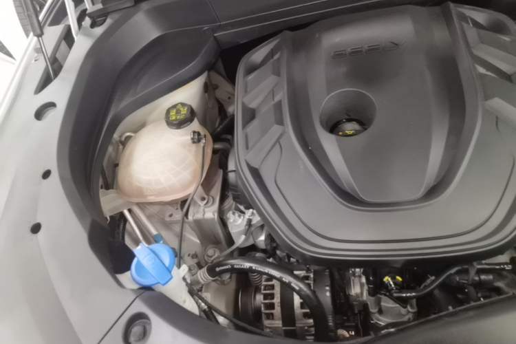 Used Geely Auto Monjaro L 2021 2.0TD DCT EVO Two-Wheel Drive Prestige Version Engine Bay Right