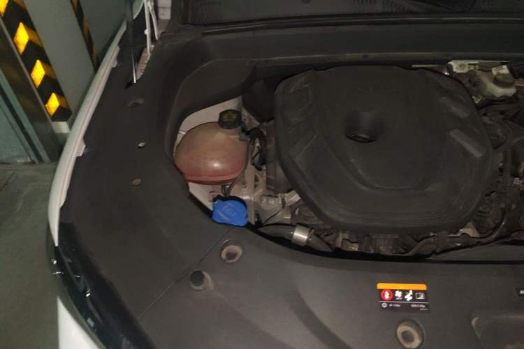 Used Geely Auto Monjaro L 2021 2.0TD DCT EVO Two-Wheel Drive Smart Luxury Version Engine Bay Right