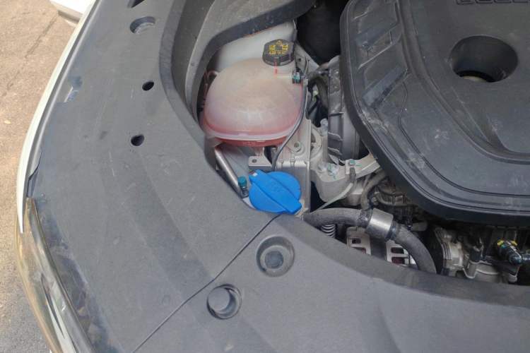 Used Geely Auto Monjaro L 2021 2.0TD DCT EVO Two-Wheel Drive Smart Luxury Version Engine Bay Right