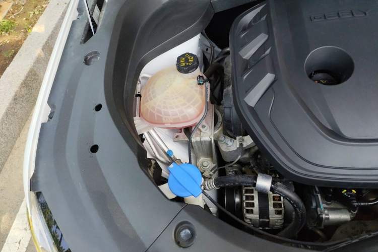 Used Geely Auto Monjaro L 2021 2.0TD High-Power Automatic All-Wheel Drive Luxury Version Engine Bay Right