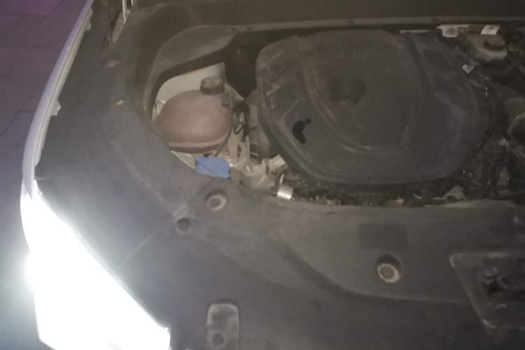 Used Geely Auto Monjaro L 2021 2.0TD High-Power Automatic All-Wheel-Drive Flagship Version Engine Bay Right